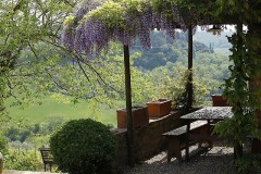 Toskana Ferienhaus - Ferienhaus Niccolini