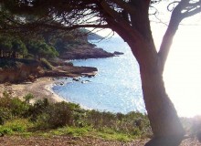 Ferienhaus Elba - Strandansicht Madonna delle Grazie (4)