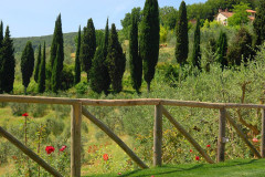 Ferienhaus San Gimignano Toskana | Villa Melograno