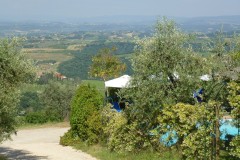 Ferienwohnung Toskana Weingut | Aussicht vom Pool