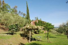 Villa Damiani | Ferienhaus Lucca Umgebung