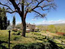 Villa Petrina | Ferienhaus Toscana Gaiole in Chianti mit Pool