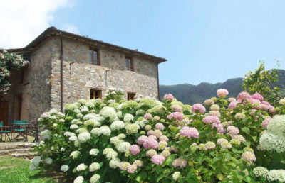 Villa Bottini | Ferienhaus Toscana Lucca mit Privat-Pool