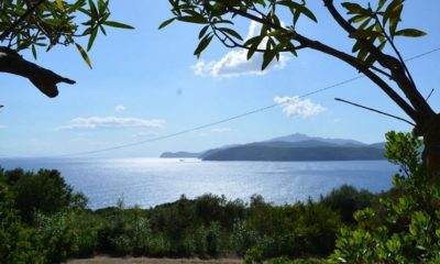 Ferienwohnung Elba am Meer | Ausblick Ferienwohnung Cielo