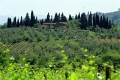 Ferienwohnung Weingut Toscana | Montersiccio
